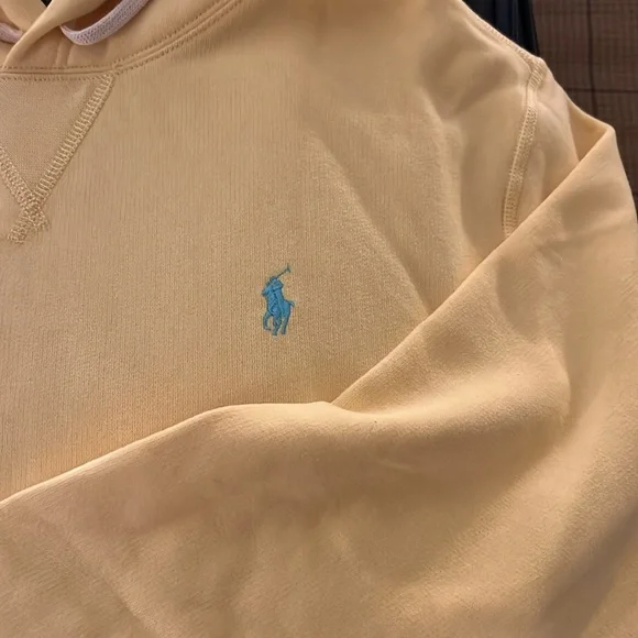 Polo hoodie. - Picture 2 of 3